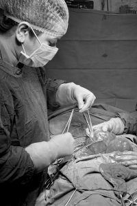 WhatsApp Image 2025-06-12 at 1.41.30 PM (1)